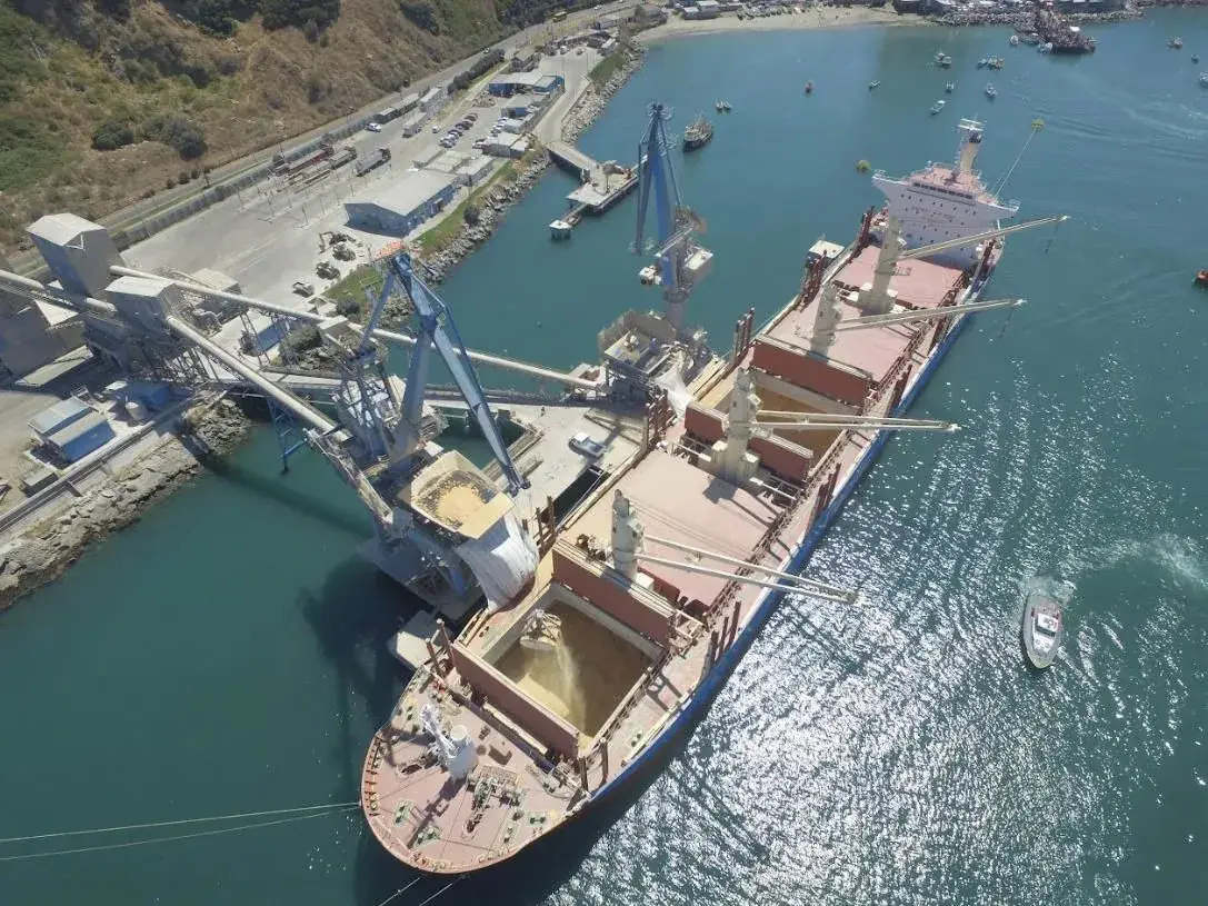 Bulk carrier loading grain at a terminal, seen from above